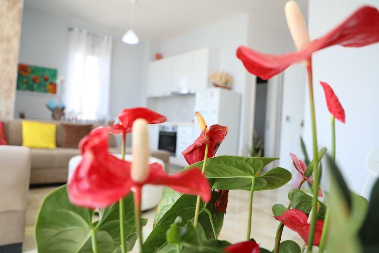 Hakunna Matata & Apartment